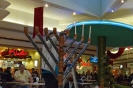 Giant Menorah made of Coins - 2012_113